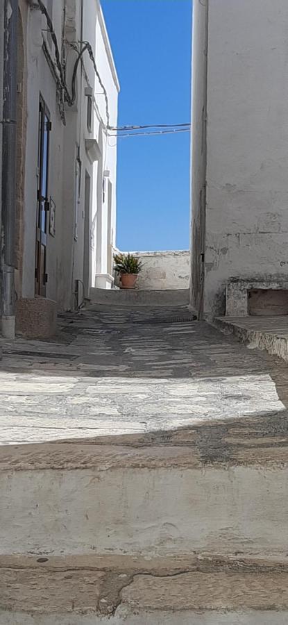 Che Vista!! Ostuni ,Sulle Bianche Mura Con Vista Mozzafiato 외부 사진